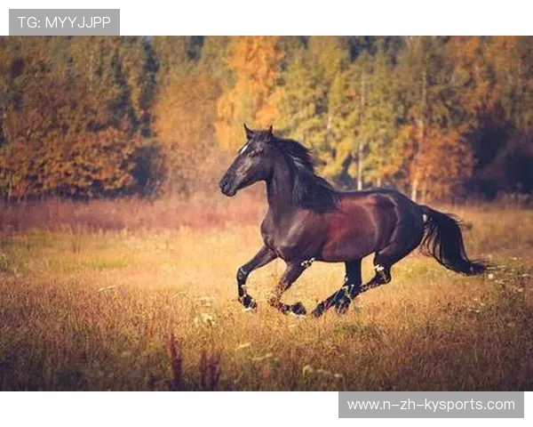 100 Thieves黑马之路持续，黑马uiue