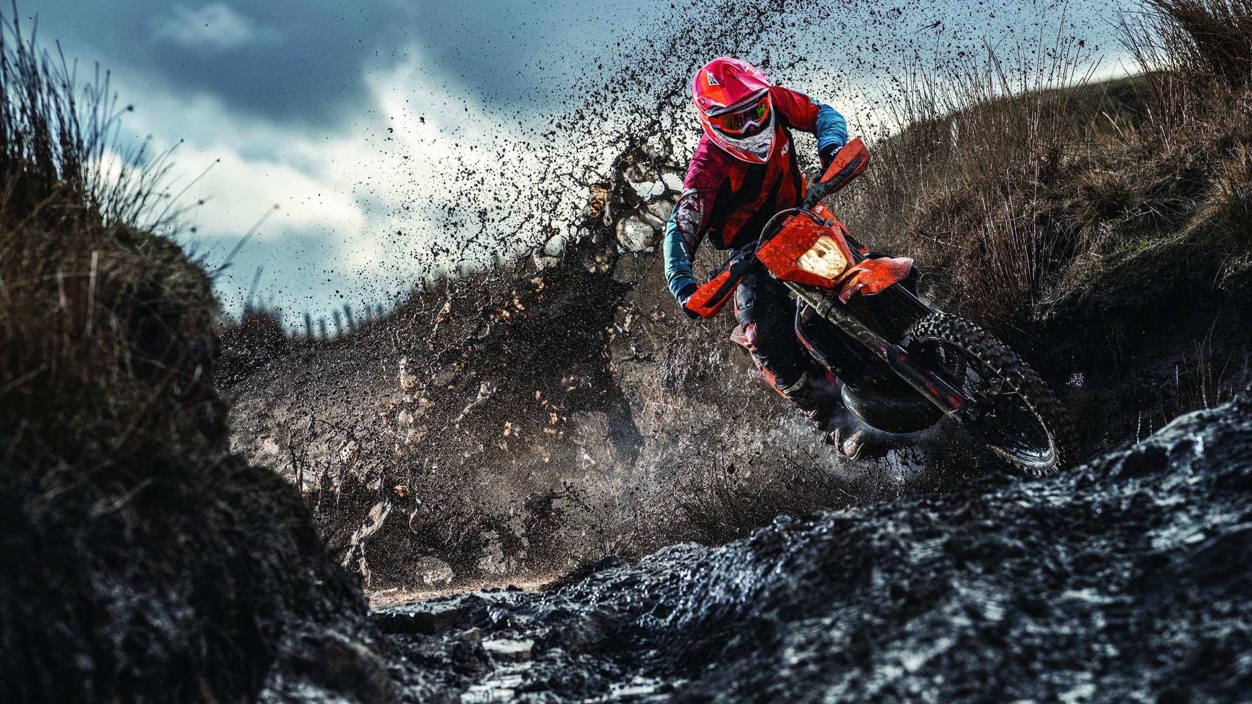 kaiyun中国官方网站-“霍斯特：南非橄榄球的下一位传奇人物？”