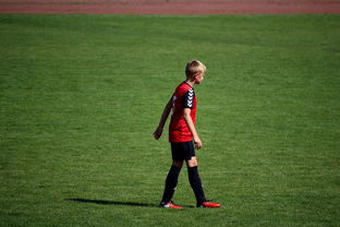 开云官网APP下载-中国足球职业俱乐部球员转会市场活跃度提升，中国足球协会球员身份与转会管理规定